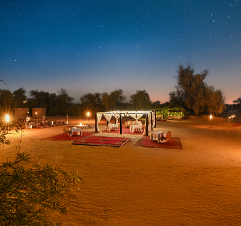 VIP Desert Safari in Dubai, , medium