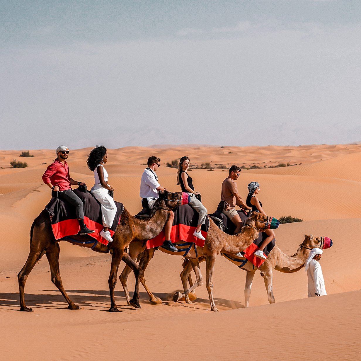 desert safari arabian tours